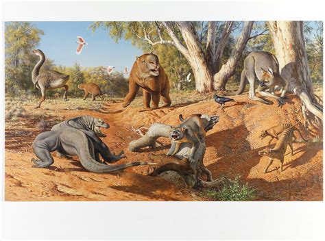 Megafauna - Meet the amazing ancestors to our unique Australian animals ...