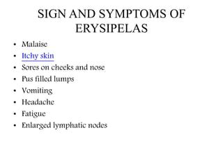 Erysipelas : causes, symptoms, diagnosis, prevention and treatments | PPT