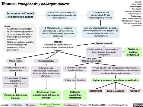 Tétanos: Patogénesis y hallazgos clínicos | Calgary Guide