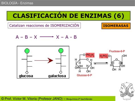 PPT - ENZIMAS PowerPoint Presentation, free download - ID:913776