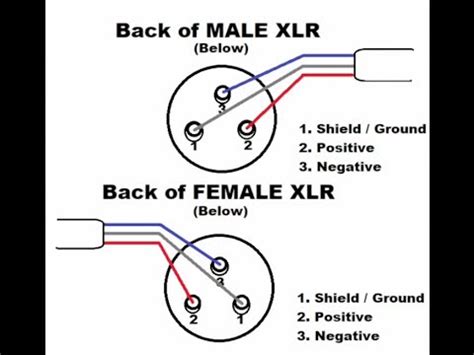 How To Solder XLR Audio Connectors | FunnyCat.TV