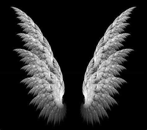 Angel Wings Wallpapers - Top Free Angel Wings Backgrounds - WallpaperAccess