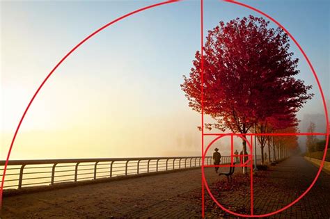 How To Use the Golden Ratio To Improve Your Photography | Apogee Photo ...