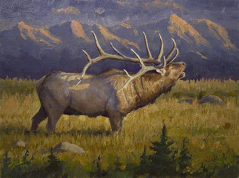 Oil Paintings by Jason Tako: Elk