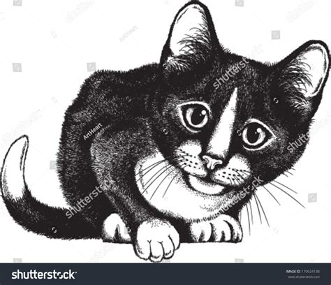 Vector Sketch Black White Cat Crouching Stock Vector (Royalty Free ...