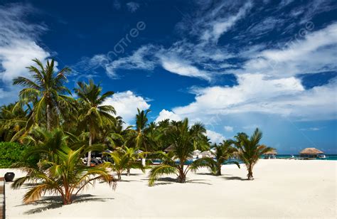 Beautiful Beach At Maldives Underwater Holiday Maldives Photo ...