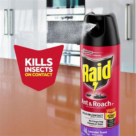 Raid 17.5-oz Ant and Roach Killer 26 Ant Killer Aerosol in the ...