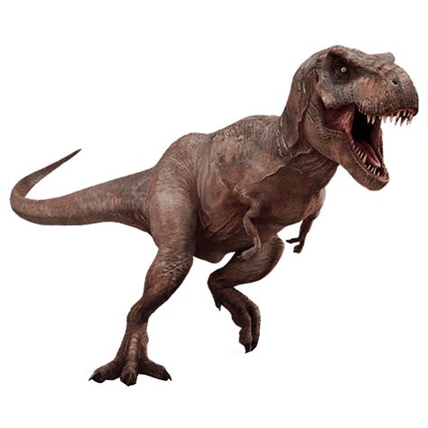 T Rex Dinosaurs PNG Transparent T Rex Dinosaurs.PNG Images. | PlusPNG