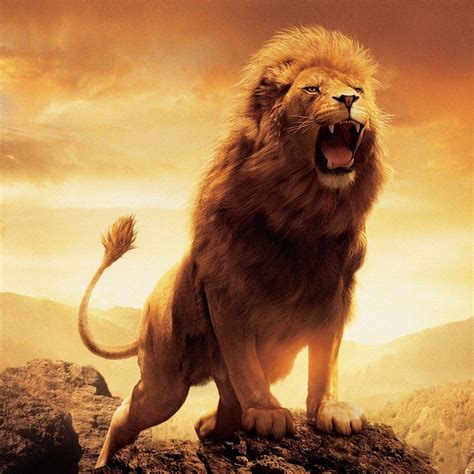 Roaring Lion Wallpapers - Top Free Roaring Lion Backgrounds ...