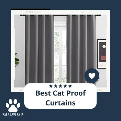 12 Best Cat Proof Curtains - BestForPets.org