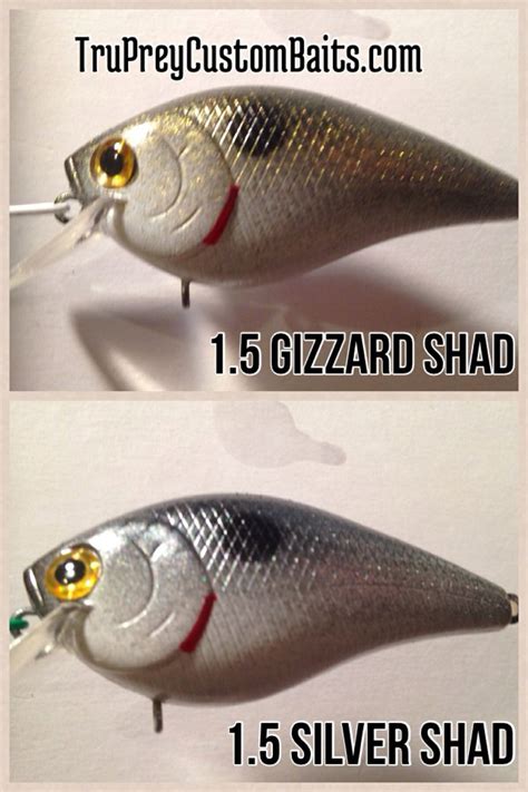 Gizzard and Silver Shad | Lure making, Fish, Custom lures