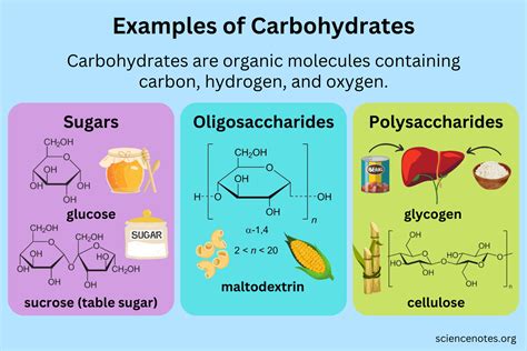 Examples of Carbohydrates