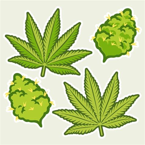 Cogollos de marihuana diseño de vectores de cannabis | Vector Premium