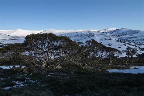 Mount Kosciuszko - WorldAtlas