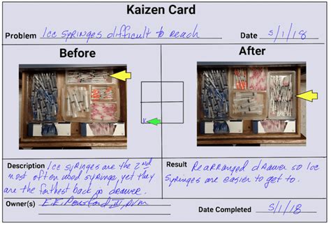 Kaizen in Veterinary Medicine: Addressing Concerns & Championing ...