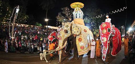 Esala Perahera Festival | Tourism Sri Lanka