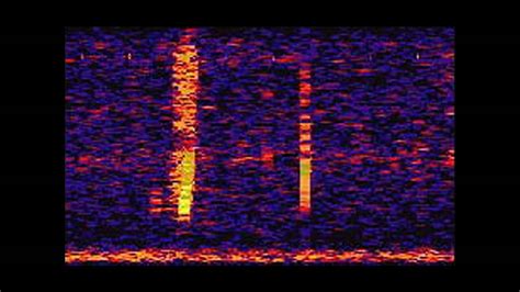 Bloop, A Mysterious Ultra-Low Frequency Sound Recorded in the Pacific ...