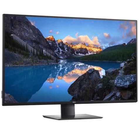 Dell U4320Q 4K 42´´ Monitor Black buy and offers on Techinn