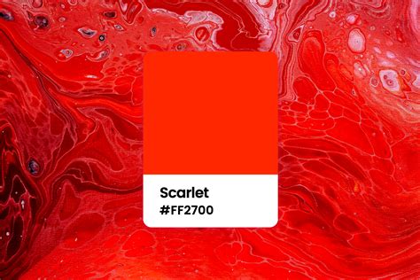 All You Want to Know About Scarlet Color: Meaning, Combinations and ...