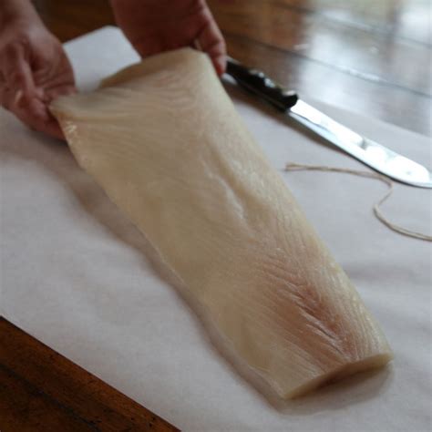 Halibut Fillet Fresh From The Pacific - Porter and York