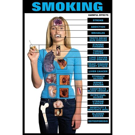 Educational Harmful Effects Of Smoking Chart | Health Edco