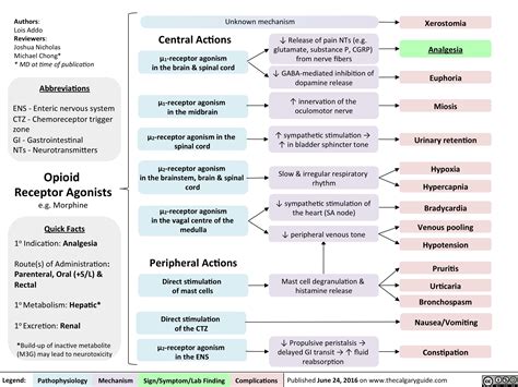 Opioid Receptor Agonists | Calgary Guide