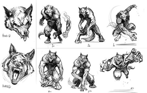 Werewolves! | Werewolf drawing, Werewolf art, Werewolf