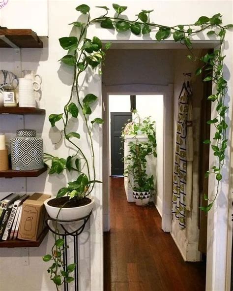 30 indoor plants hanging ideas 2 » cityofskies.com #indoorplantsideas # ...