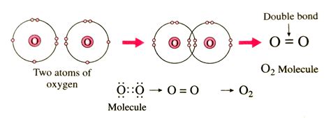 Doubt Solutions - Maths, Science, CBSE, NCERT, IIT JEE, NEET