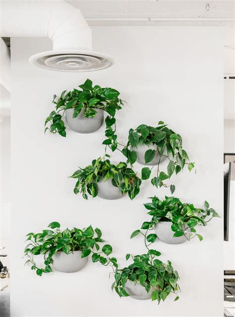 Office Design Ideas With Plants