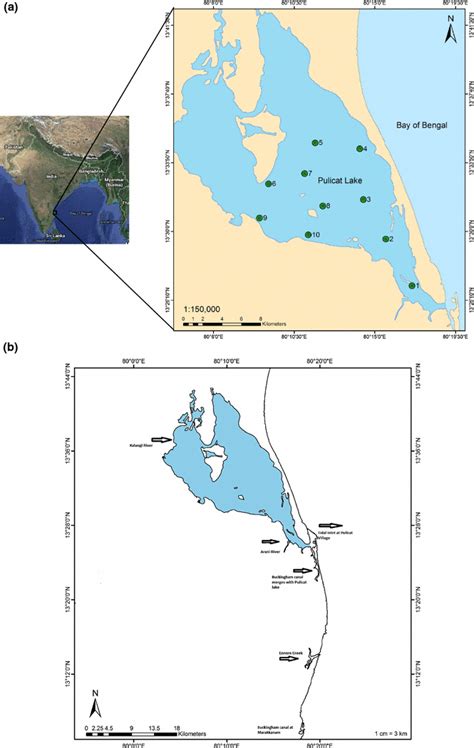 a Study area and sampling locations in Pulicat lake. b Pulicat lake ...