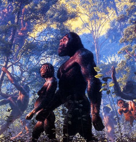 Australopithecus afarensis - reconstruction by John Gurche | Paleo art ...