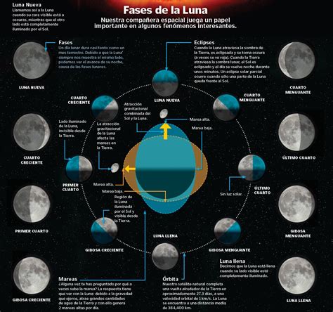 Fases de la Luna ~ Con-CIENCIA