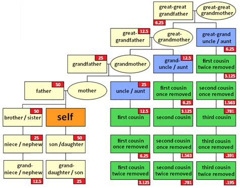 Autosomal DNA statistics - ISOGG Wiki