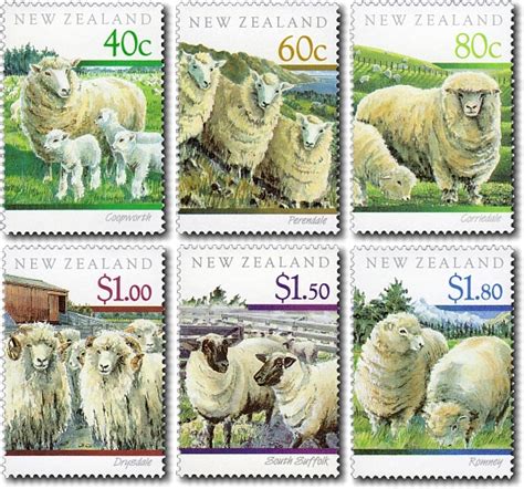 1991 Sheep Breeds of New Zealand