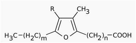 Diethylamine Lewis Structure, HD Png Download - kindpng