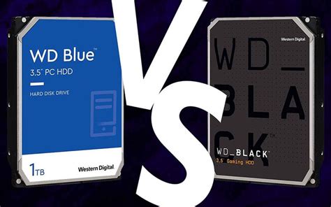 WD Blue vs Black | WePC