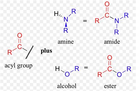 Amine Amide Acyl Group Functional Group Chemistry, PNG, 780x548px ...