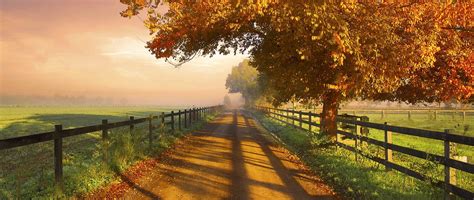 Wallpaper : 1824x770 px, Australia, dirt road, fall, fence, field ...