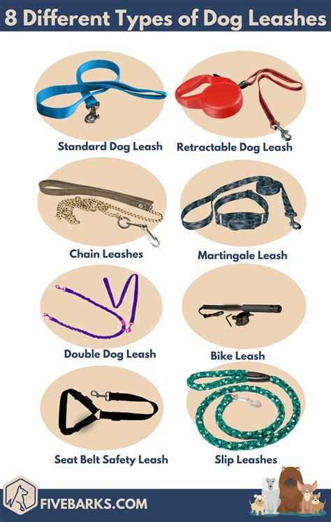 8 Types of Dog Leashes & How to Choose the Best One – Dog Training