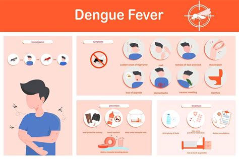 Vector illustration infographics dengue fever symptoms, transmission ...