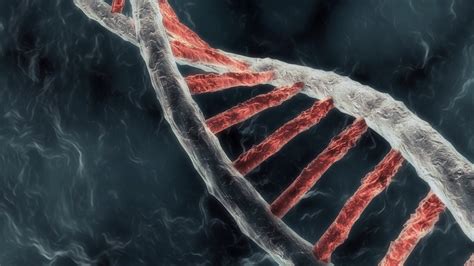 Free download Dna Helix Wallpaper Dna Double Helix Art Dna [1191x670 ...