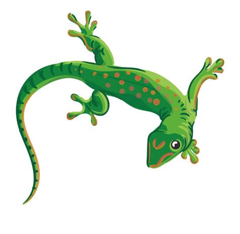 Collection Of Free Lizard Vector Reptile Transparent Background - Clip ...