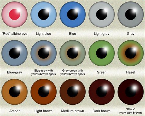 Human eye color (iris color) chart by KDC-71 on DeviantArt