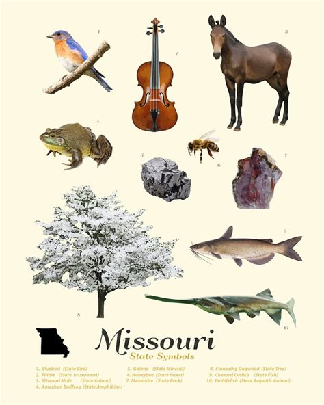 Missouri State Symbols Typology Missouri Art Missouri | Etsy