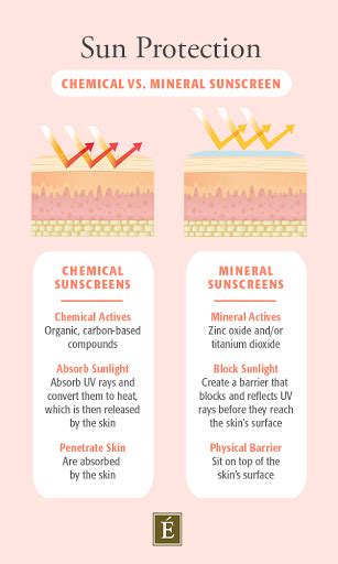 Chemical Vs. Physical (Mineral) Sunscreen — Sugared | South Lake Tahoe