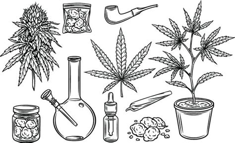 Weed Drawings – Unveiling the Artistry of Nature - uconnboneyard