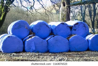 Pile Large Round Bales Silage Coated Stock Photo 1163076523 | Shutterstock