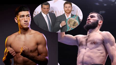 WBC Moves In To Block A Bivol v Beterbiev Undisputed Bout!