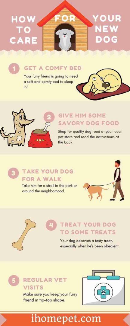 [Infographic] How To Care For Your New Dog: The Easy Way